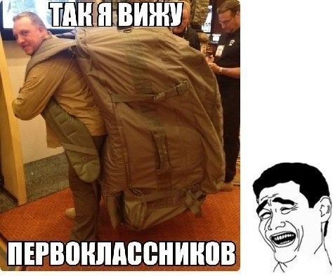 О кошках и не только...
