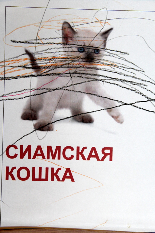 Отчет по мини-ТН