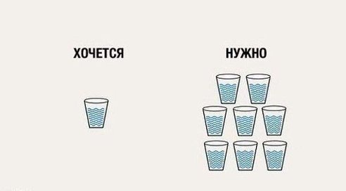 День 11