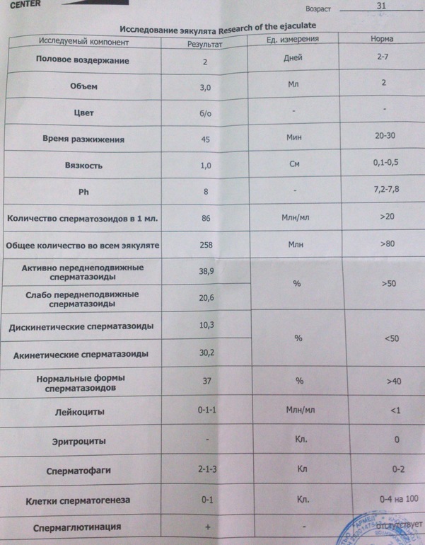 Помогите расшифровать спермограмму