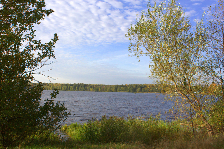Барановичи. Осень 2013 г