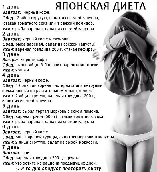 День 2. Диеты и системы питания