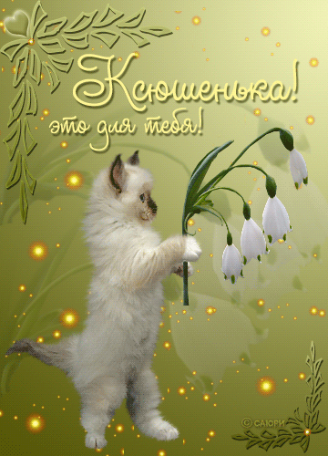 С Днем Рождения Ксюшик)