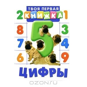 Книжный шкаф (наши книги)