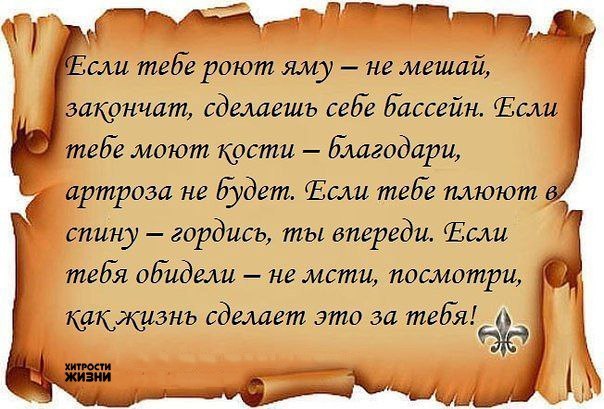 принцип жизни