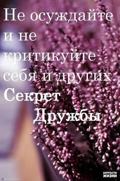 Шесть секретов