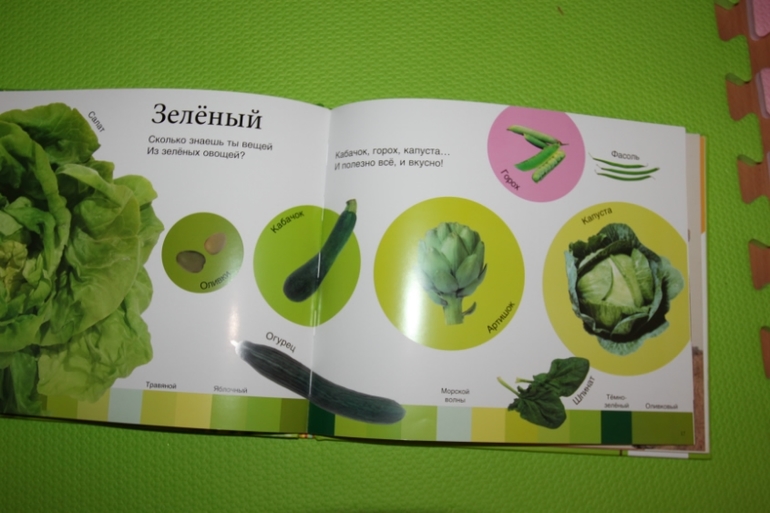 ТН Цвета_красный и зеленый.