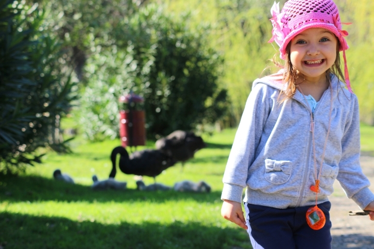 Картотека 2013