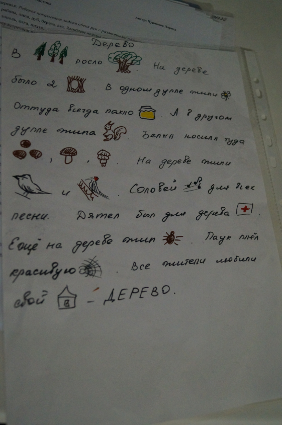 ТН Деревья. День 1. Лиственные деревья.