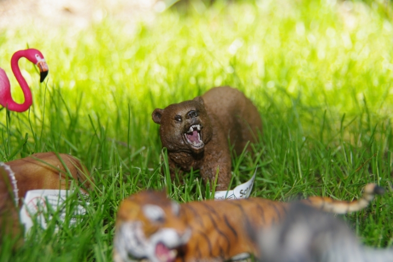 Zoo