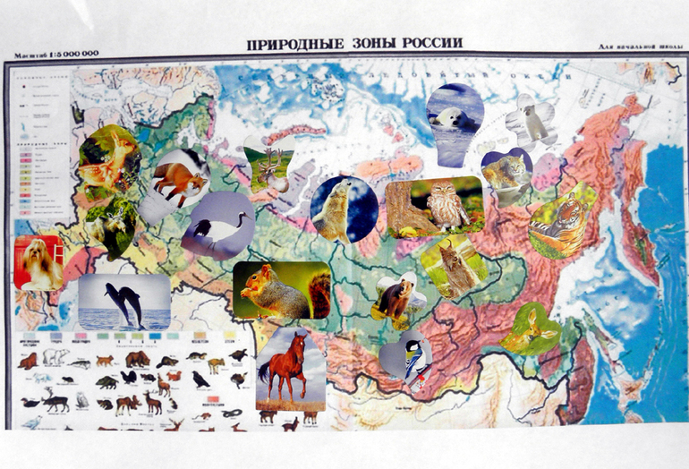 ТН - РОССИЯ