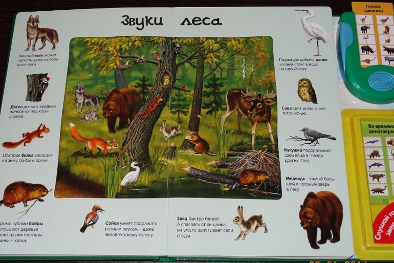 Замечательная книга по очень низкой цене!