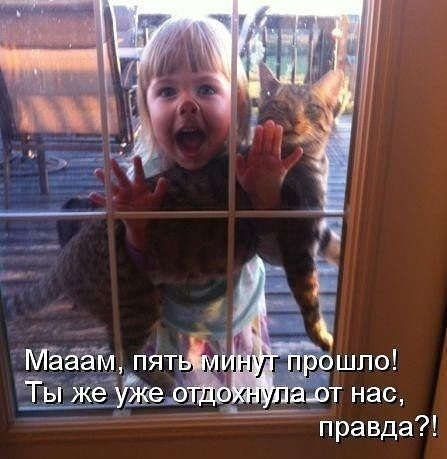 Знакомо?