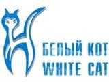 Мои помощники по дому