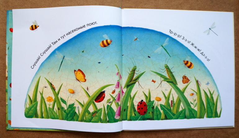 Любимые книги годовасика , часть 1 :)
