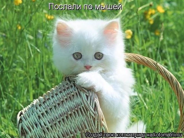 Немного позитива, перед выхами.