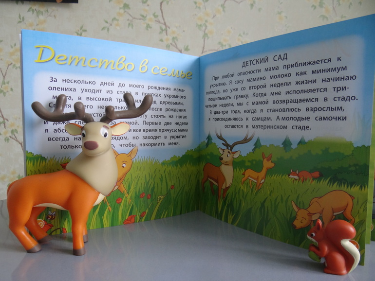 Купила журнальчики