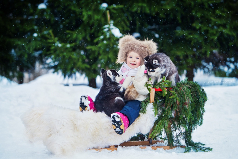 Наша зимняя сказка с хаски!!!:)