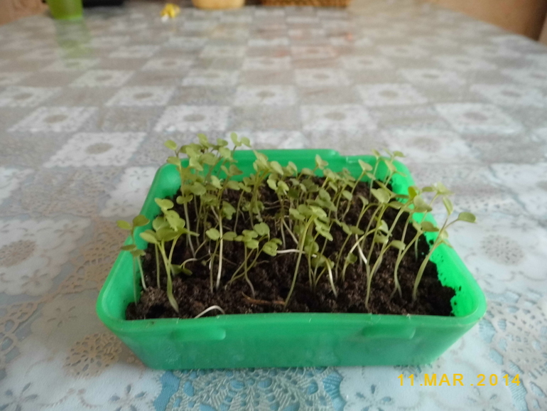 продолжение