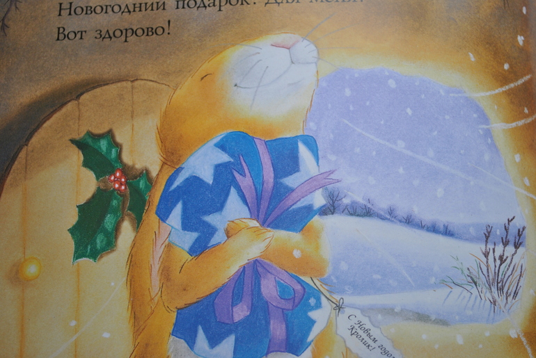 Однажды в новогоднюю ночь