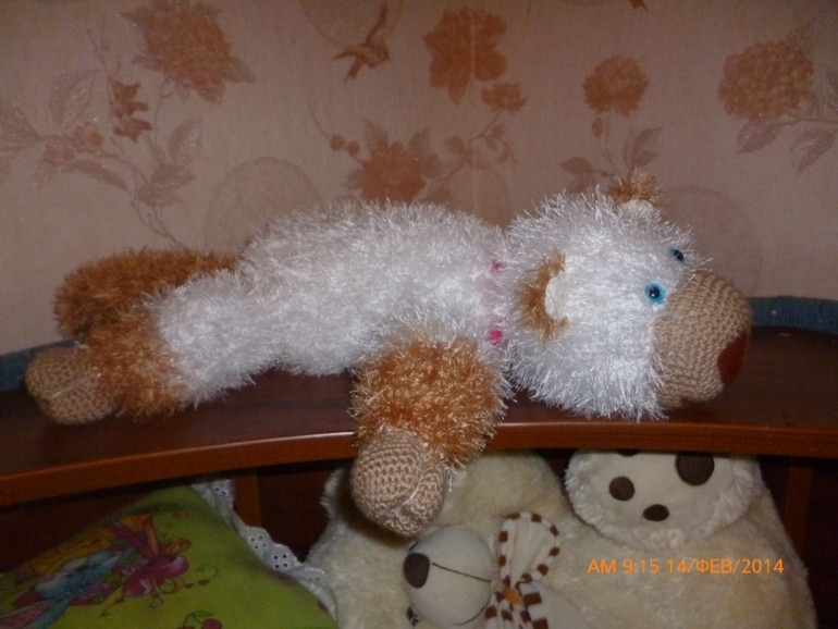 котик и лошадка