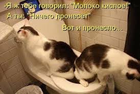 Щедроты "Юмора"