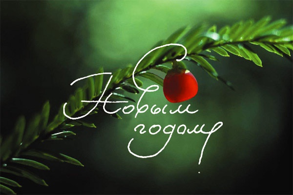 Мои дорогие! Поздравляю Вас!