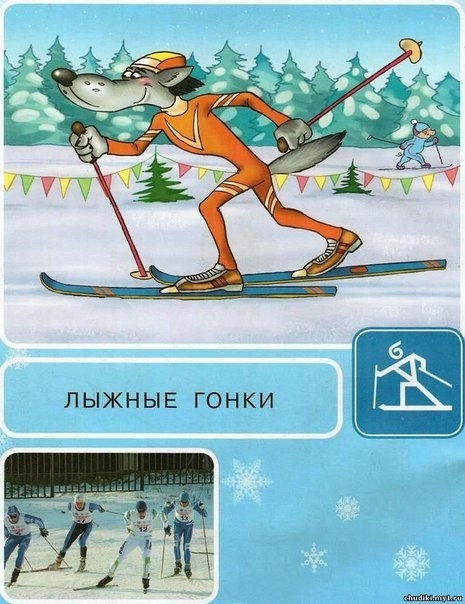 Зимние виды спорта
