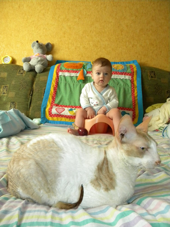 Котейка Фентос : ) Феня