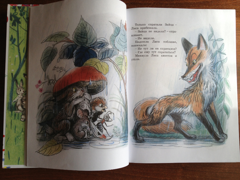 Наши книжные обновки