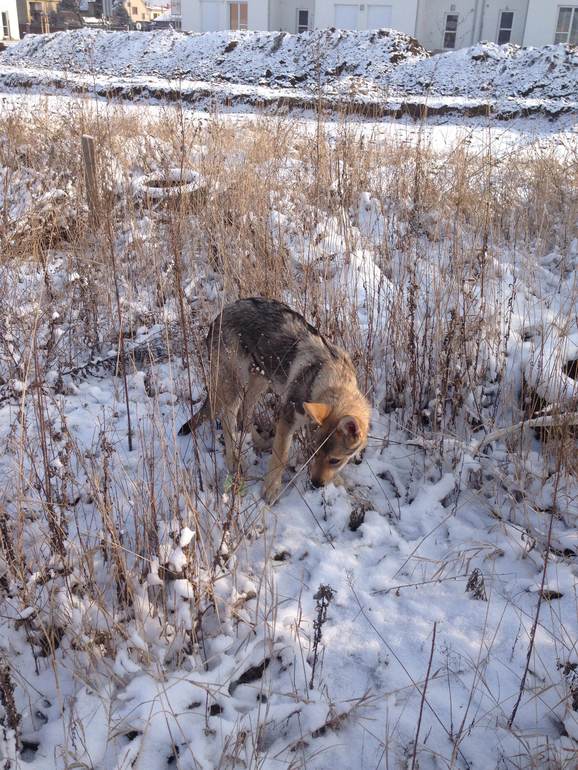 И к нам пришла зима :)