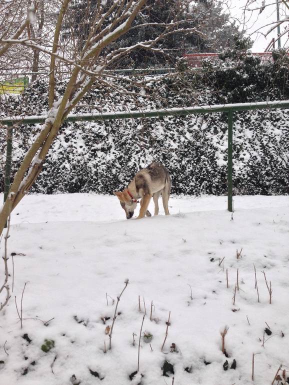 И к нам пришла зима :)