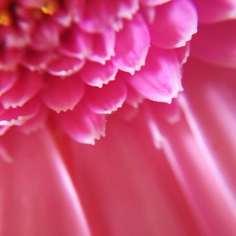 Телефонофотострасть