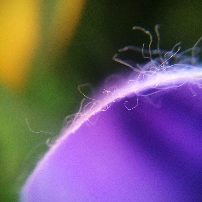 Телефонофотострасть