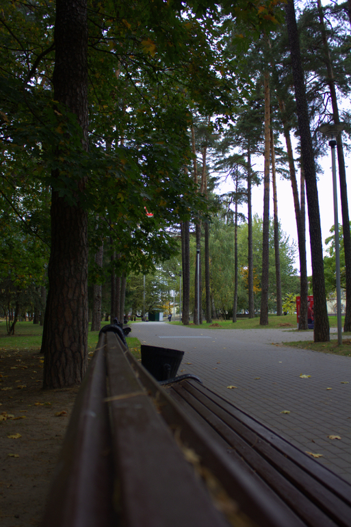 Минск. Осень 2013 г