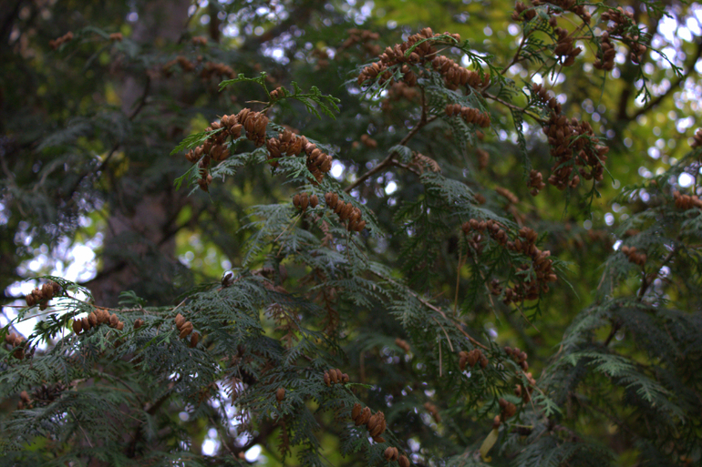 Минск. Осень 2013 г
