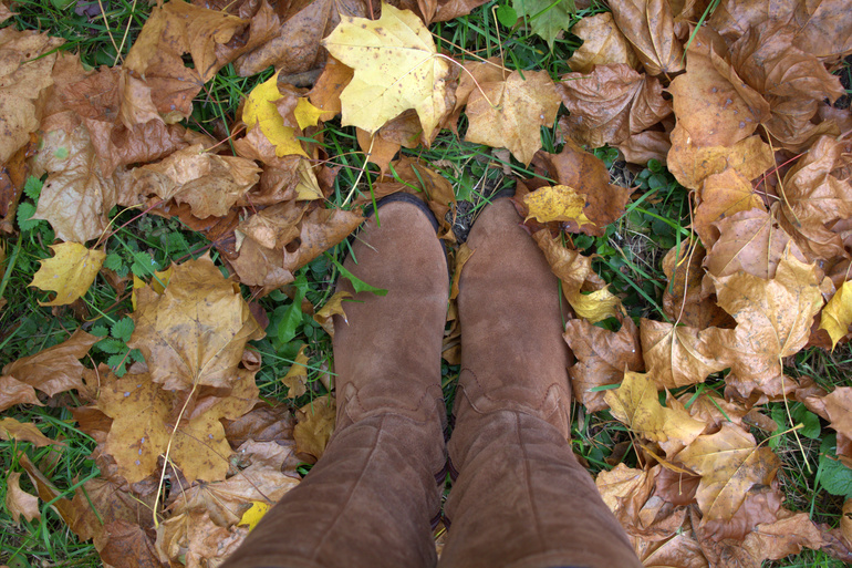 Минск. Осень 2013 г