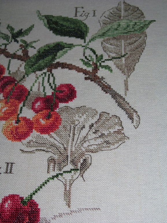 Моя Ботаника-Черешня)))