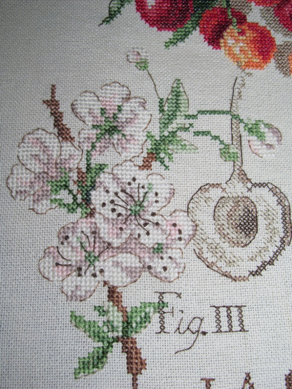 Моя Ботаника-Черешня)))