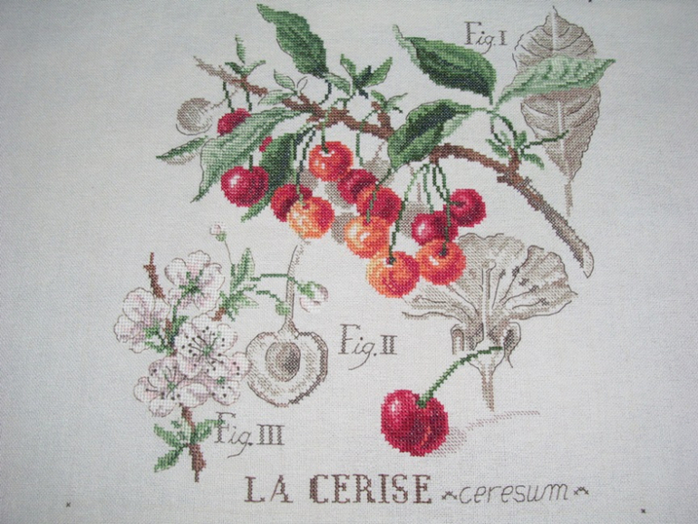 Моя Ботаника-Черешня)))