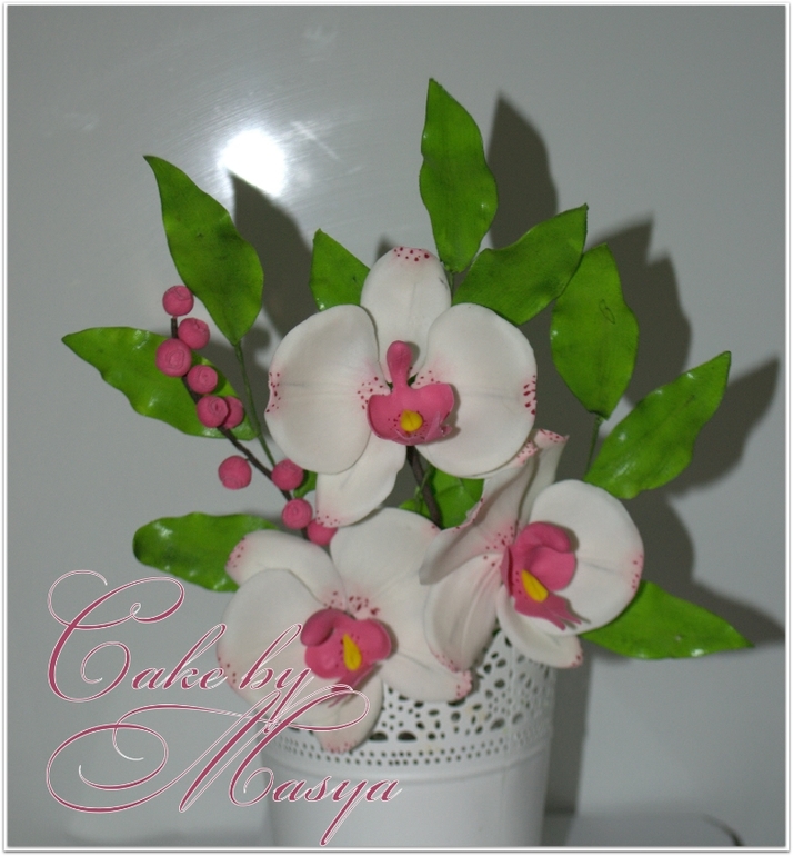 ТОРТИК С ФАЛЕНОПСИСОМ