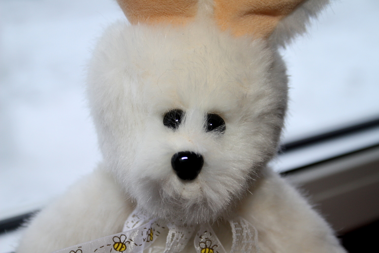 Зайчик Мотик.....