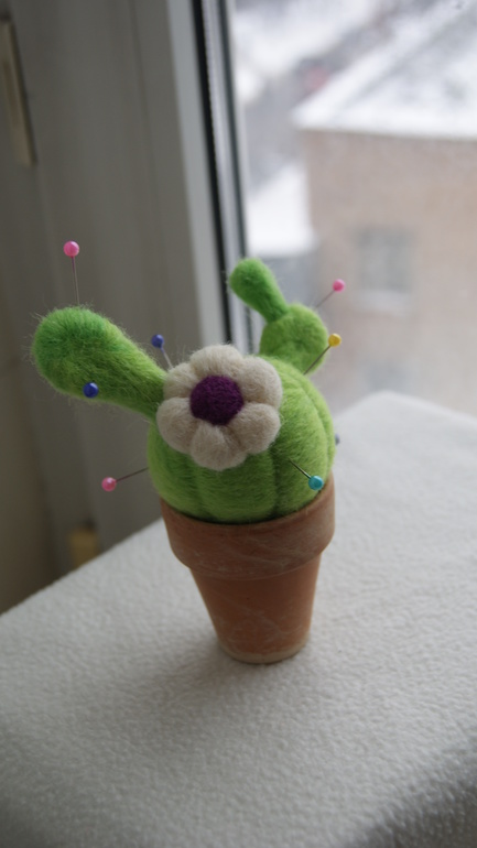 кактусенок)