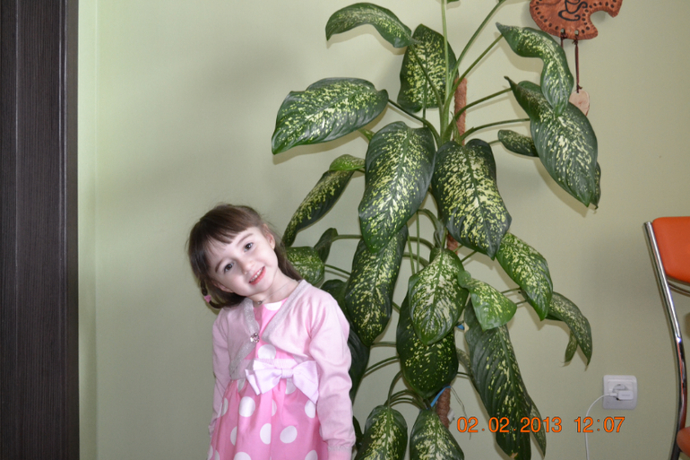 6d7a1562bca6dd807cad1827d4151d21.jpg