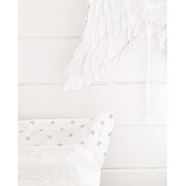 Сканди (@sivasverden)