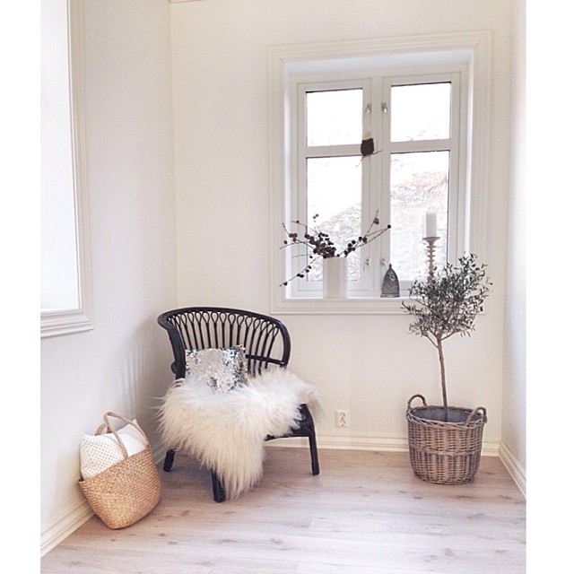 Сканди (@sivasverden)