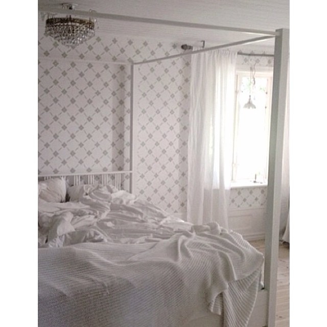 Сканди (@homebycaroline)