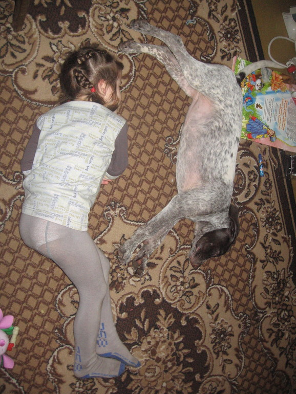 Моя мечта....................