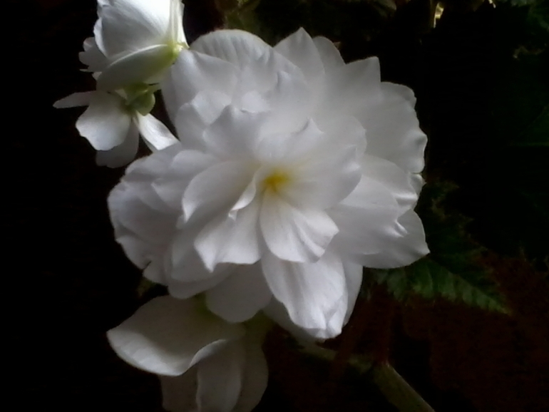 Аватар сообщества!