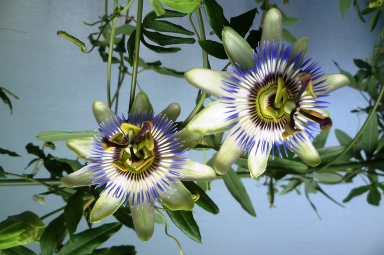 Аватар сообщества!